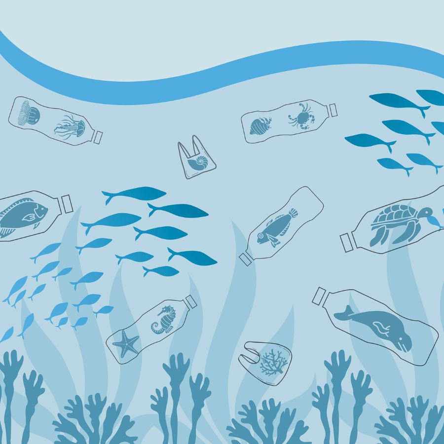 Coast and Climate Drop-In