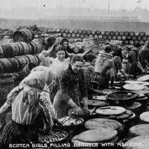 archive image of women filling barrels with herring
